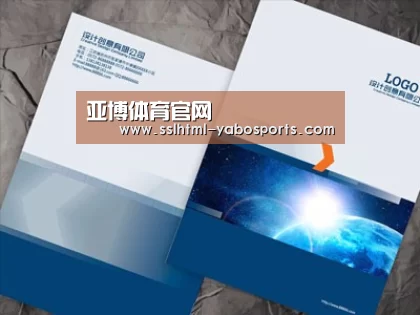 项目名称十