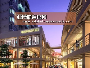 案例展示一