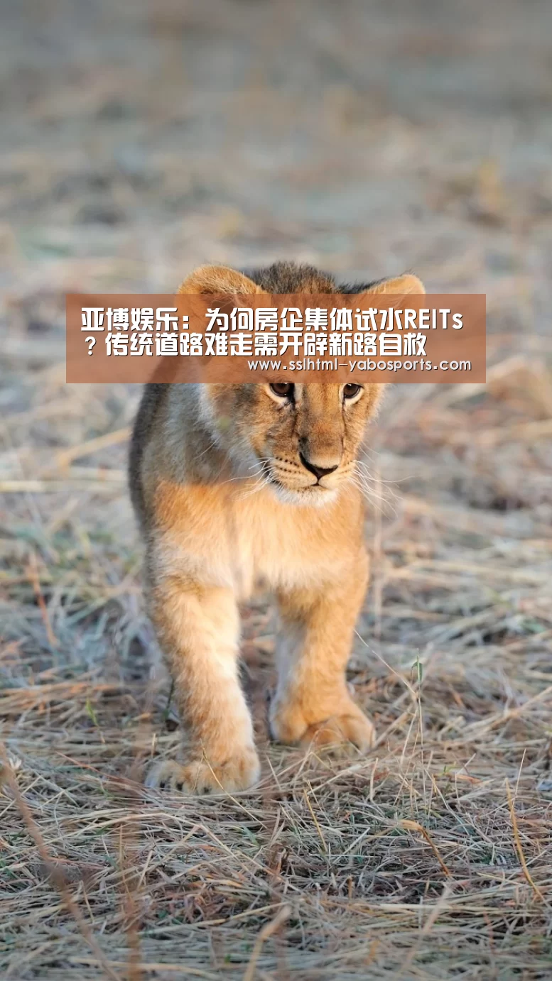 亚博娱乐:为何房企集体试水REITs?传统道路难走需开辟新路自救(图1) 亚博APP